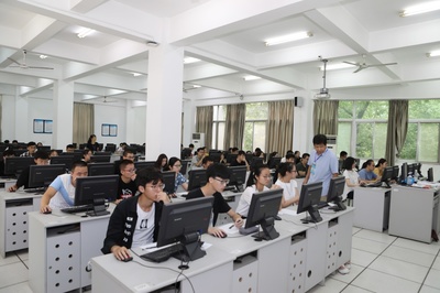 計算機信息技術咨詢服務 構建數(shù)字化社會服務的核心力量